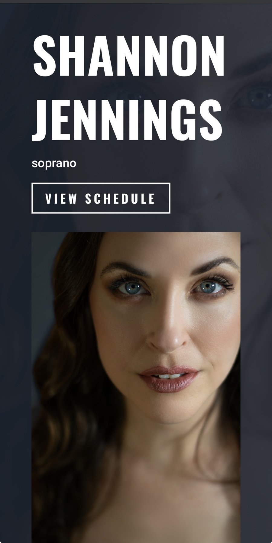 SCRLsite preview 3